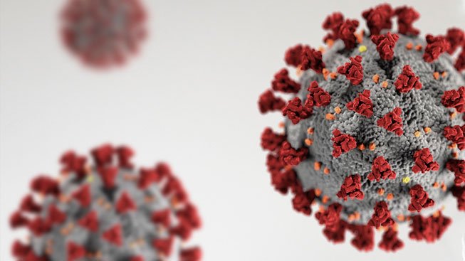 Qual è il comportamento dei virus sulle superfici Krion™?