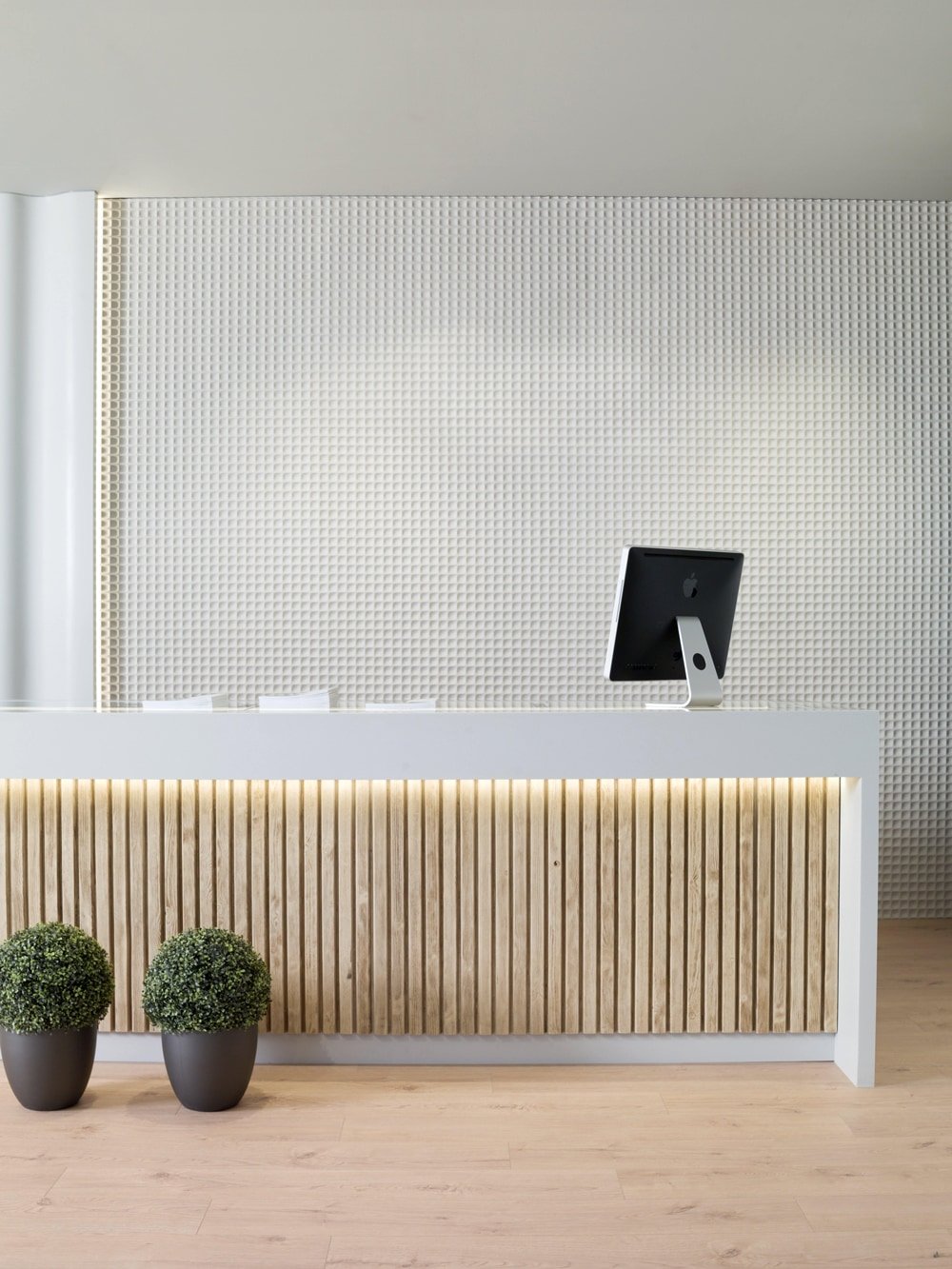 recepci&oacute;n fitwall shadow