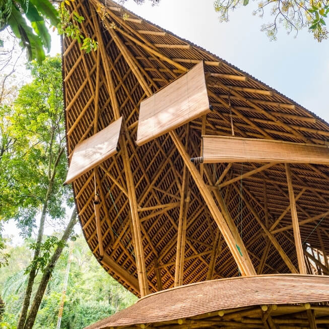 fachada bambu sostenible
